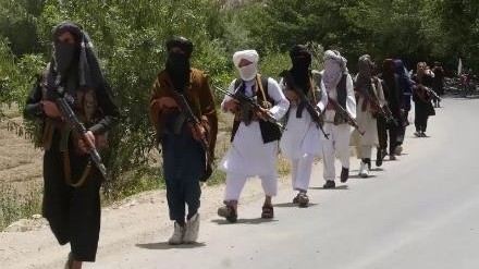 "Taliban" 50 rayonu nəzarətə götürüb 