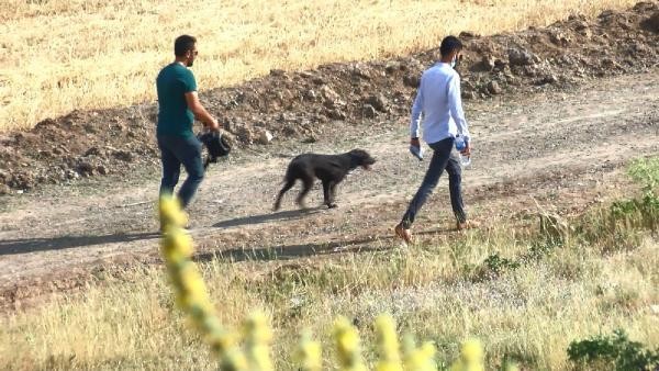 Qaçan qurbanlığın arxasıyca gedən gənc itkin düşdü - FOTOLAR