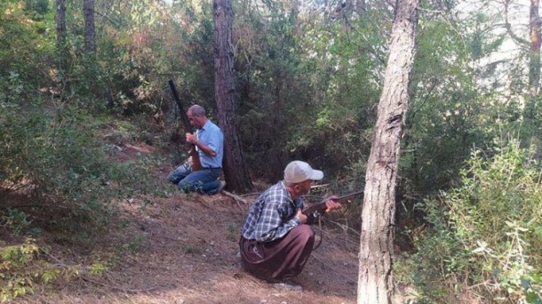 Türkiyədə vətəndaşlar meşələrdə silahla keşik çəkir - FOTO