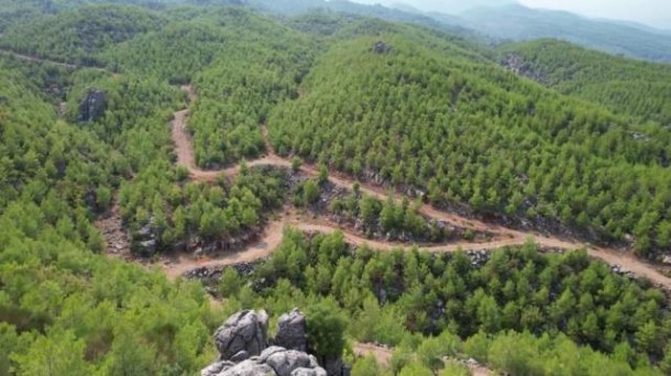 Türkiyədə meşə yanğınının olduğu ərazi yaşıllığa büründü  - FOTOLAR