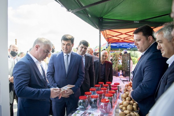 Toxum sərgi-satış yarmarkası öz işini uğurla yekunlaşdırdı - FOTOLAR