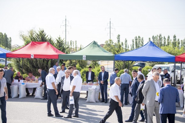 Toxum sərgi-satış yarmarkası öz işini uğurla yekunlaşdırdı - FOTOLAR