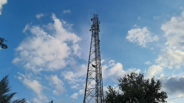 Sərxoş kişi elektrik dirəyinə çıxıb, yuxuya getdi (FOTO/VİDEO)