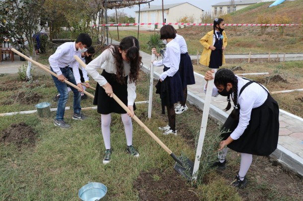 “Zəngin hövzələr” layihəsi çərçivəsində nərə balıqları Kür çayına buraxıldı - FOTOLAR