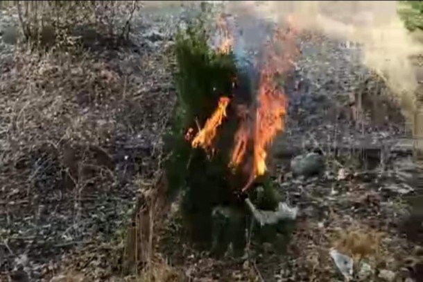 Düşmənin Füzulidə atıb qaçdığı silah-sursatın sayı AÇIQLANDI - FOTOLAR