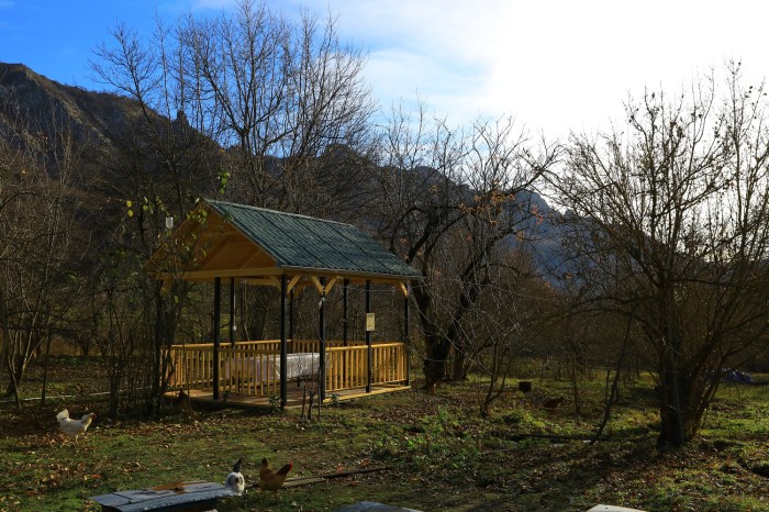 “Şəhərdən Kəndə” layihəsi çərçivəsində daha bir təsərrüfata dəstək göstərilib - FOTOLAR