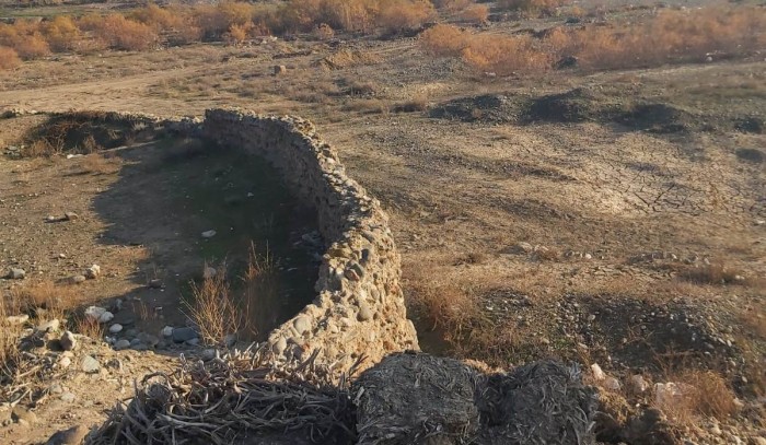 Gəncədə genişmiqyaslı iməclik işləri aparılıb - FOTOLAR