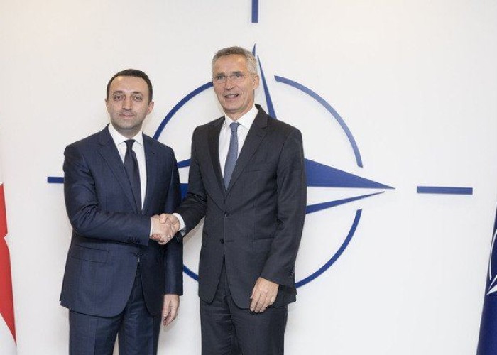 Qaribaşvili NATO rəsmisi ilə GÖRÜŞƏCƏK