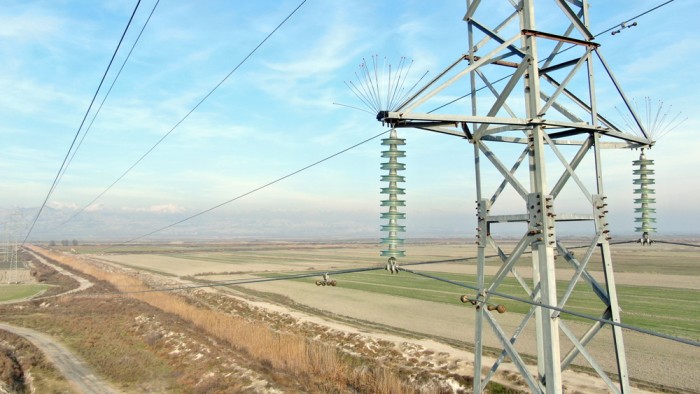 Quşların elektrik xətlərindən qorunması üçün yeni layihə hazırlandı - VİDEO