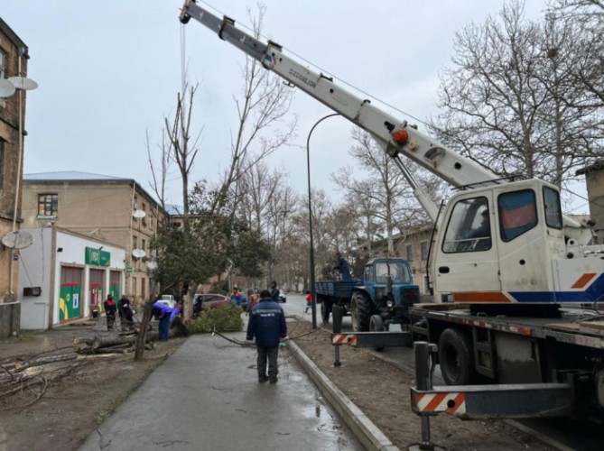 Niyazi Bayramov güclü külək nəticəsində xəsarət alanları ziyarət etdi - FOTOLAR