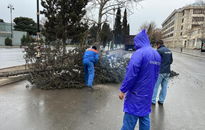 Niyazi Bayramov güclü külək nəticəsində xəsarət alanları ziyarət etdi - FOTOLAR