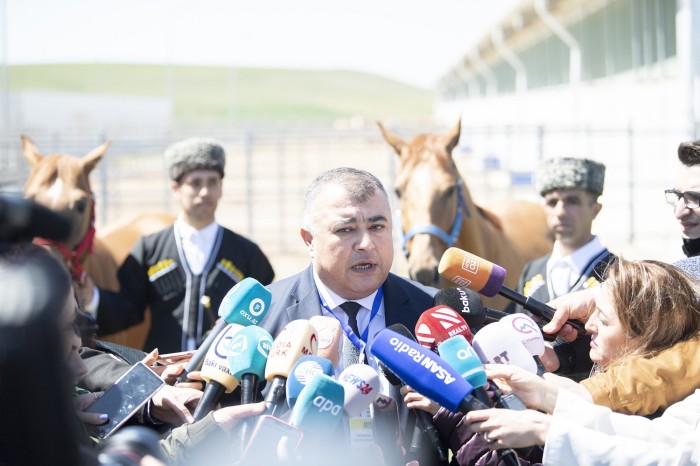 Azərbaycanda ilk dəfə Qarabağ atlarının satışı həyata keçirildi - FOTOLAR