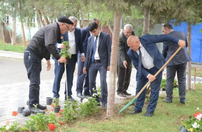 Malik İsaqov ağacəkmə aksiyasında iştirak etdi - FOTOLAR