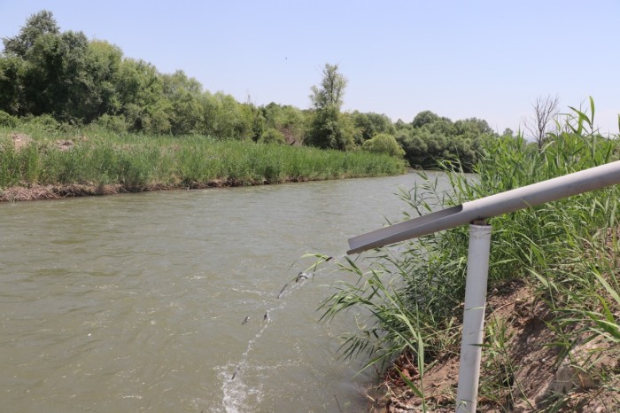 Həkəri çayına qızılxallı forel körpələri buraxıldı - FOTOLAR