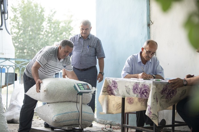 Tədarük məntəqələrinə 157 ton yaş barama təhvil verilib - FOTOLAR