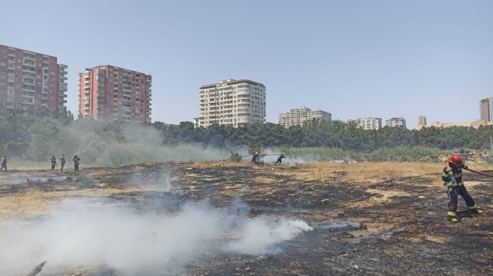 “Dendroloji park”da yanğın törədən şəxs saxlanıldı 