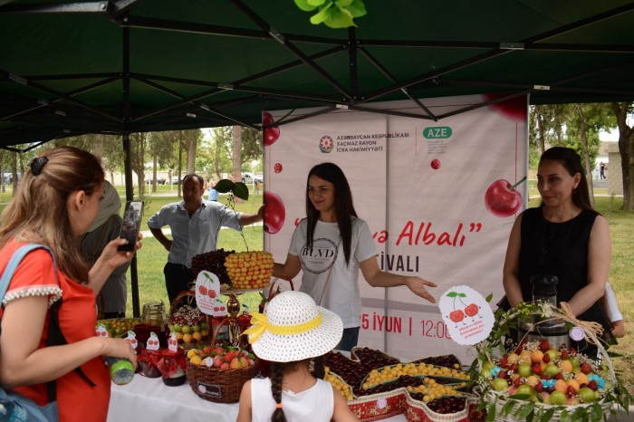 Azərbaycanda ilk dəfə “Albalı və gilas” festivalı keçirilib - FOTOLAR