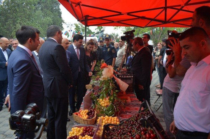 Azərbaycanda ilk dəfə “Albalı və gilas” festivalı keçirilib - FOTOLAR