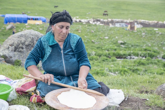 Azad olunmuş ərazilərdəki yaylaqlara 1101 arıçılıq təsərrüfatı köçürülüb - FOTOLAR