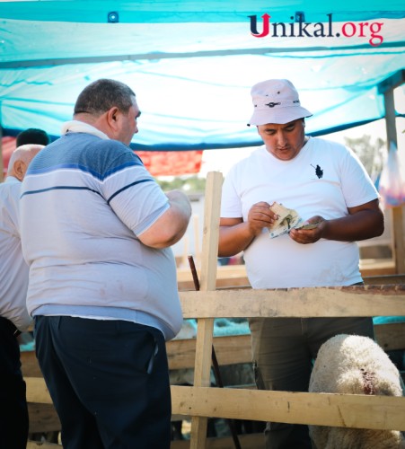 Paytaxt sakinləri qurban kəsib - FOTOLAR