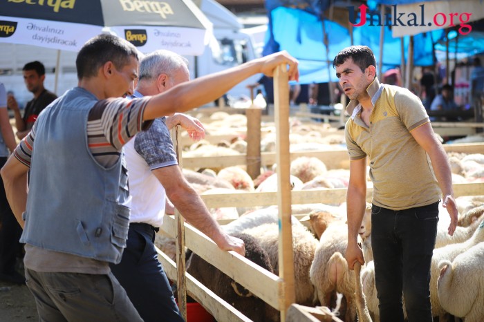 Paytaxt sakinləri qurban kəsib - FOTOLAR