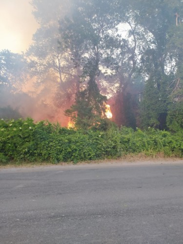 "Şabranda baş verən yanğın fikirləşmədən törədilib" - ETSN (FOTO)