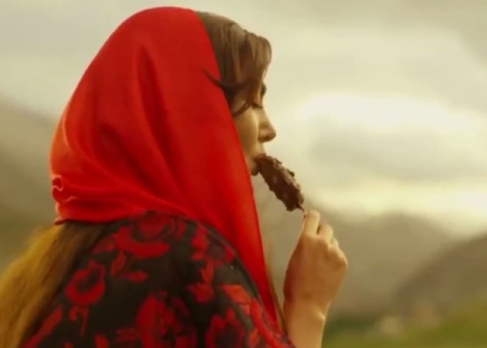 İranda bir videoya görə qadınların reklamlara çəkilməsi qadağan edilib - VİDEO