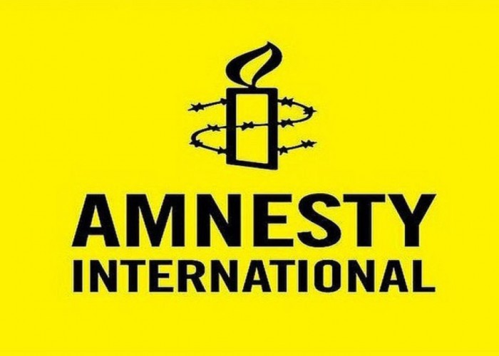 Amnesty International həmtəsisçisi UAF hesabatından sonra istefa verdi