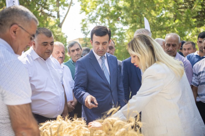 İsmayıllıda toxum sərgi-satış yarmarkası keçirildi - FOTOLAR