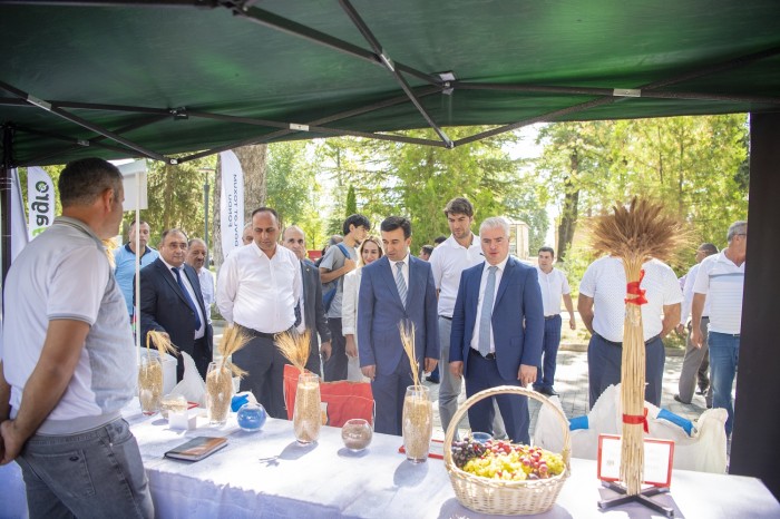 İsmayıllıda toxum sərgi-satış yarmarkası keçirildi - FOTOLAR