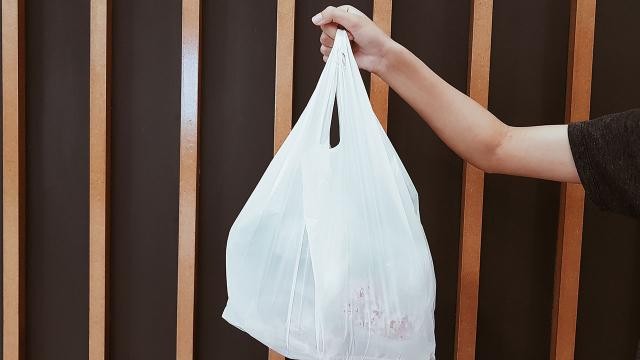 Plastik torbaların istehsalı və idxalı qadağan edildi - Bəhreyndə