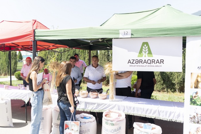 Ağcabədidə toxum sərgi-satış yarmarkası keçirildi - FOTOLAR