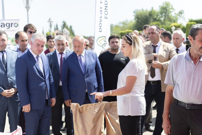 Ağcabədidə toxum sərgi-satış yarmarkası keçirildi - FOTOLAR