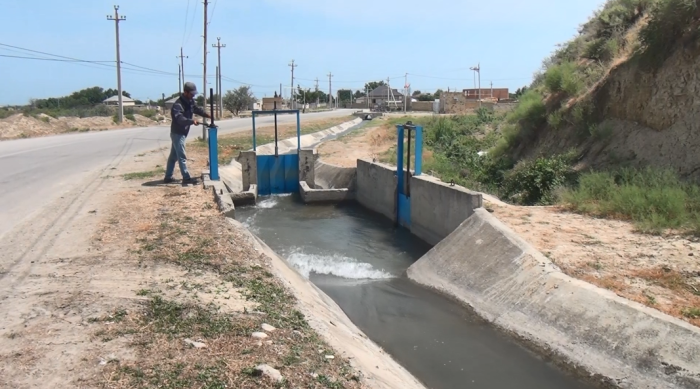 Siyəzəndə suvarma mövsümü uğurla davam etdirilir - FOTOLAR