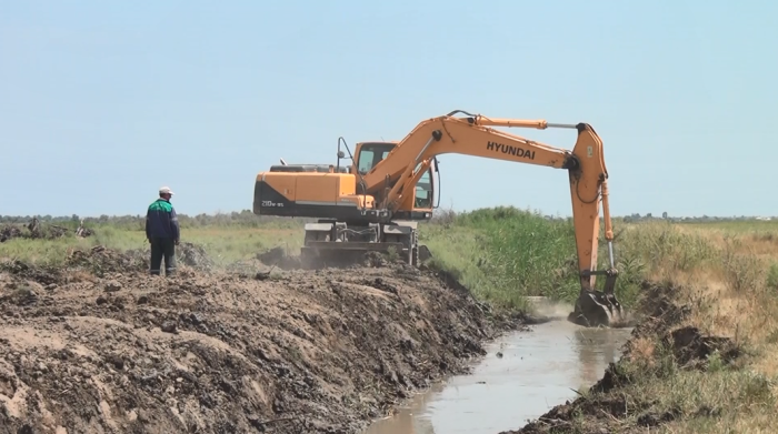 Siyəzəndə suvarma mövsümü uğurla davam etdirilir - FOTOLAR