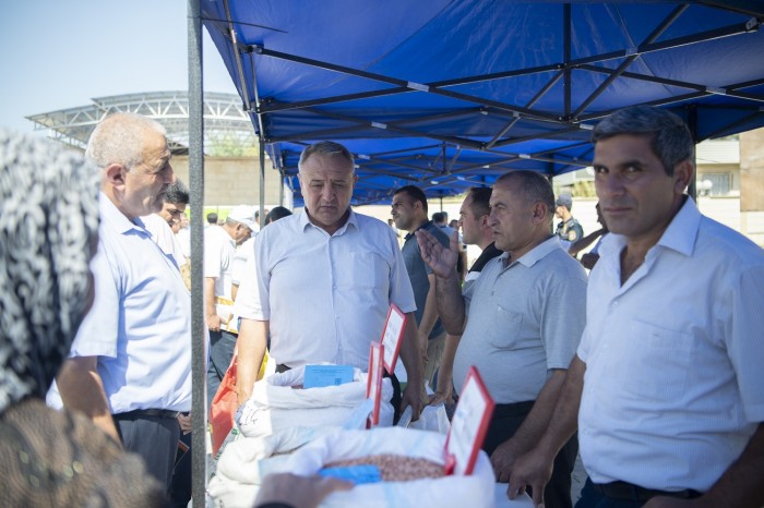 Sabirabadda toxum sərgi-satış yarmarkası keçirildi - FOTOLAR