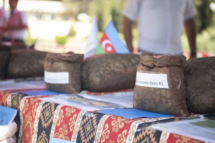 Sabirabadda toxum sərgi-satış yarmarkası keçirildi - FOTOLAR