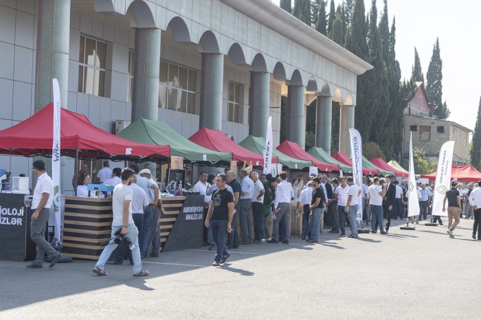 Cəlilabadda toxum sərgi-satış yarmarkası təşkil olundu - FOTOLAR