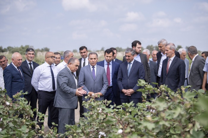 Salyanda növbəti regional müşavirə keçirildi - FOTOLAR