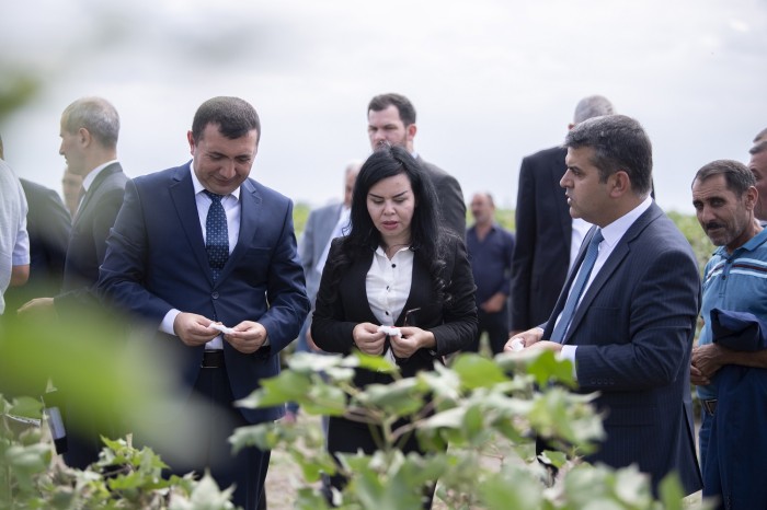 Salyanda növbəti regional müşavirə keçirildi - FOTOLAR