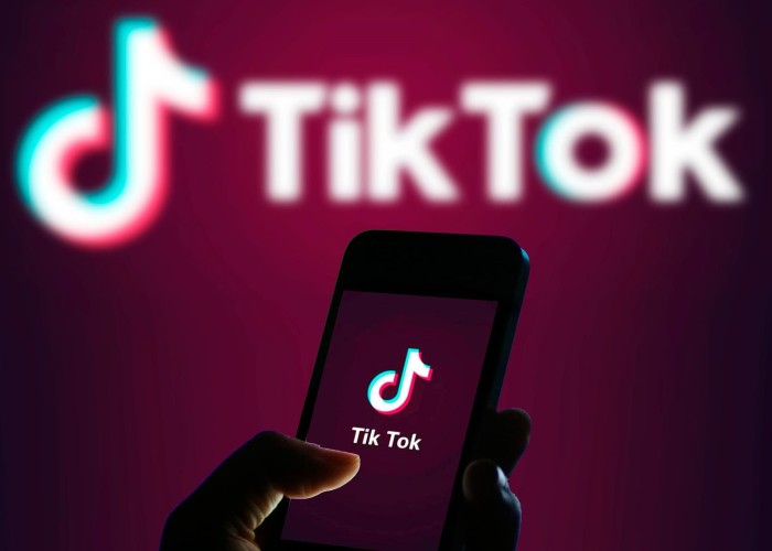 "TikTok"un Azərbaycanda gündəlik auditoriyası 3 milyondur