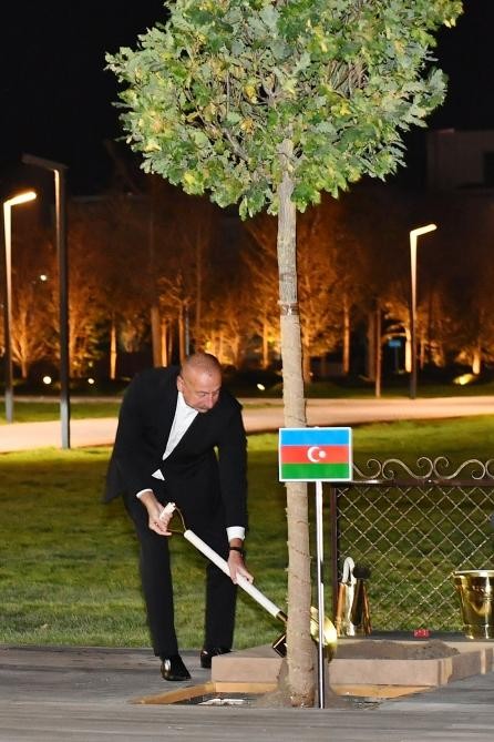 Dövlət başçıları Səmərqənddə ağac əkdilər - FOTO