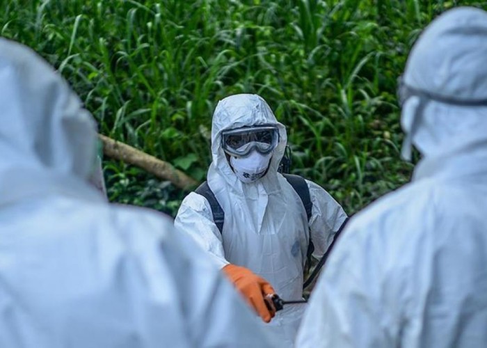 Bu ölkədə 11 nəfər Eboladan öldü