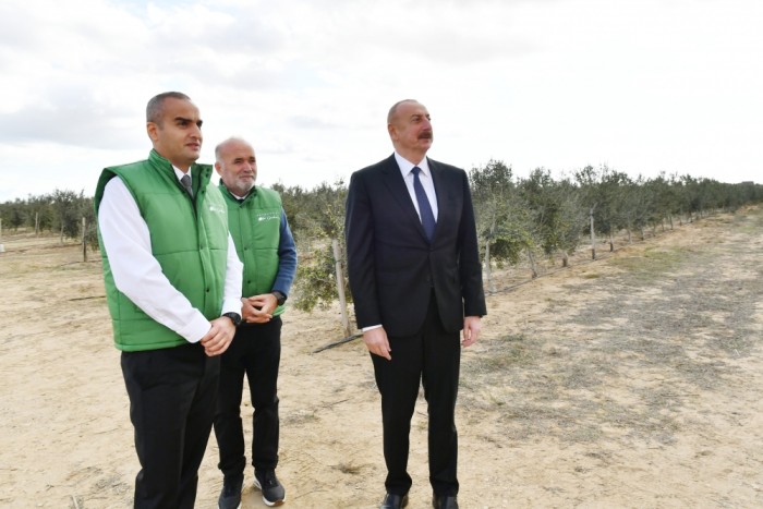 Prezident zavodun açılışında iştirak edib - YENİLƏNİB (FOTOLAR)