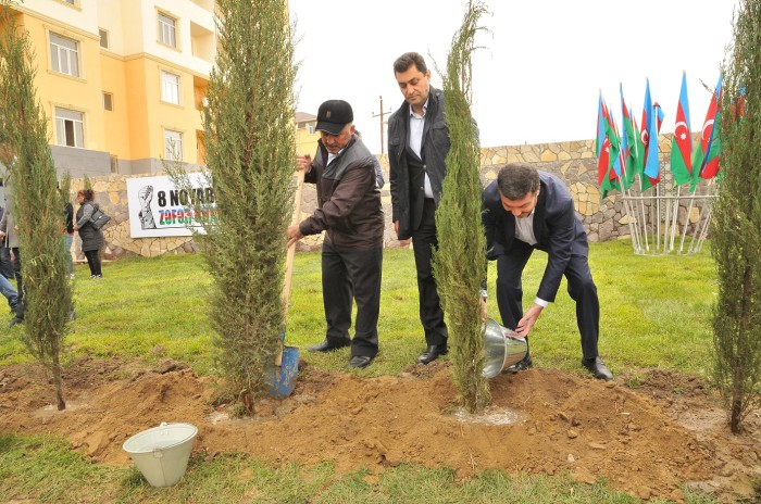 “8 Noyabr – Zəfər Günü” münasibətilə Abşeronda ağacəkmə aksiyası keçirilib - FOTO