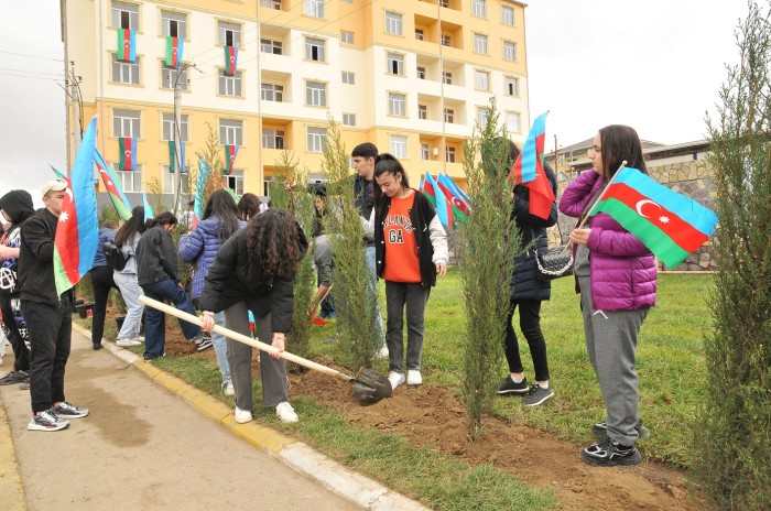 “8 Noyabr – Zəfər Günü” münasibətilə Abşeronda ağacəkmə aksiyası keçirilib - FOTO