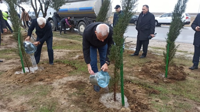 Xəzər rayonunda ağacəkmə aksiyası keçirildi - FOTOLAR