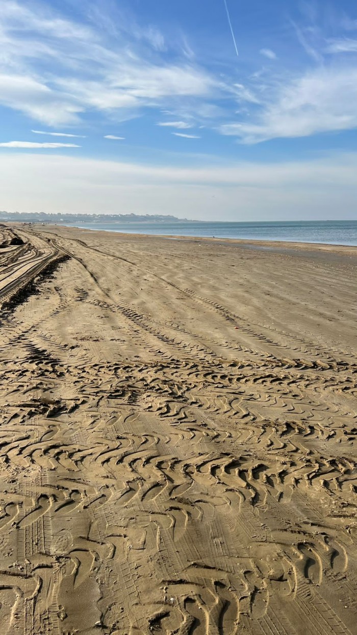 Bakıda dəniz sahilində çoxlu sayda plastik hissəcik aşkarlanıb - FOTO