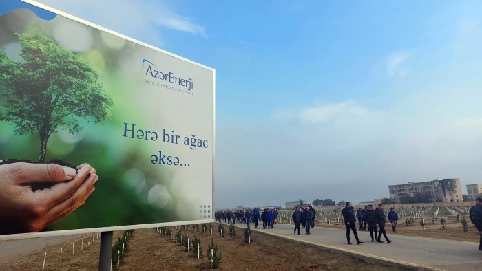  “Azərenerji” ASC ağacəkmə aksiyasına qoşulub - FOTOLAR