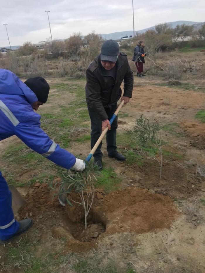 Qaradağda ümumrayon iməciliyi - FOTOLAR